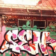 sen2s