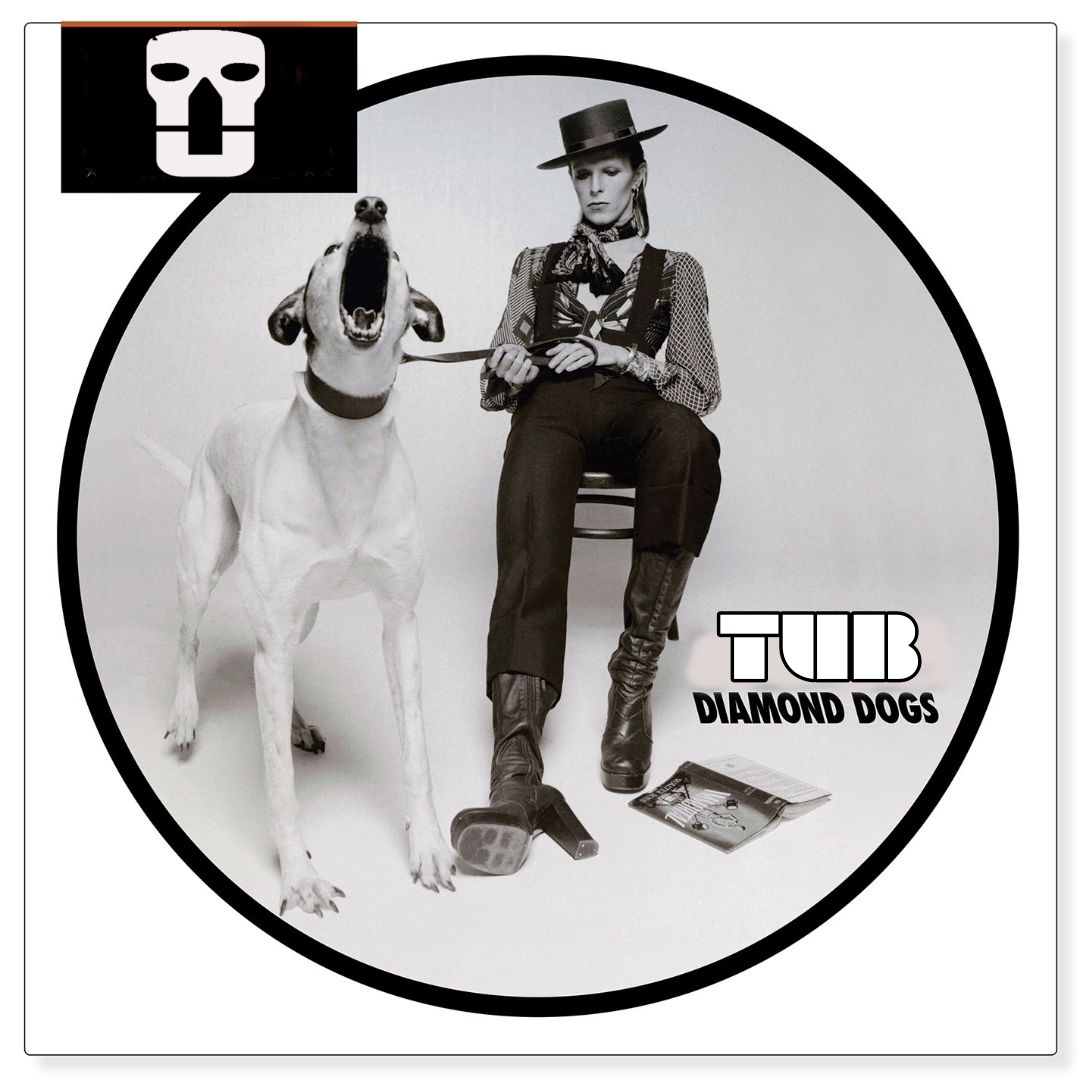 The Diamond Dogs Mix